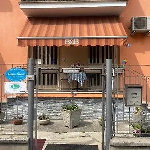 uygunluğu kontrol et